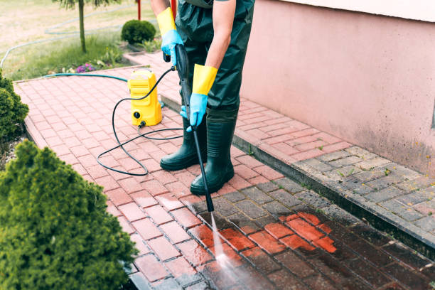 Best Driveway Pressure Washing  in Chesterfield, IN